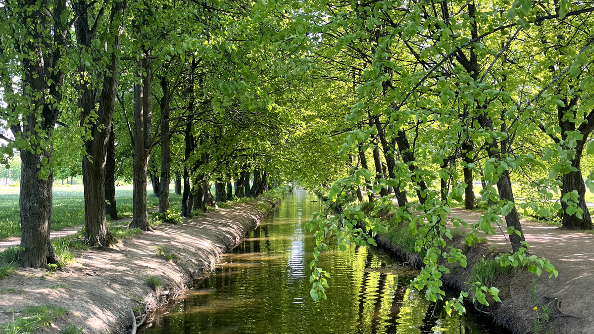 Красивые каналы есть не только в парках