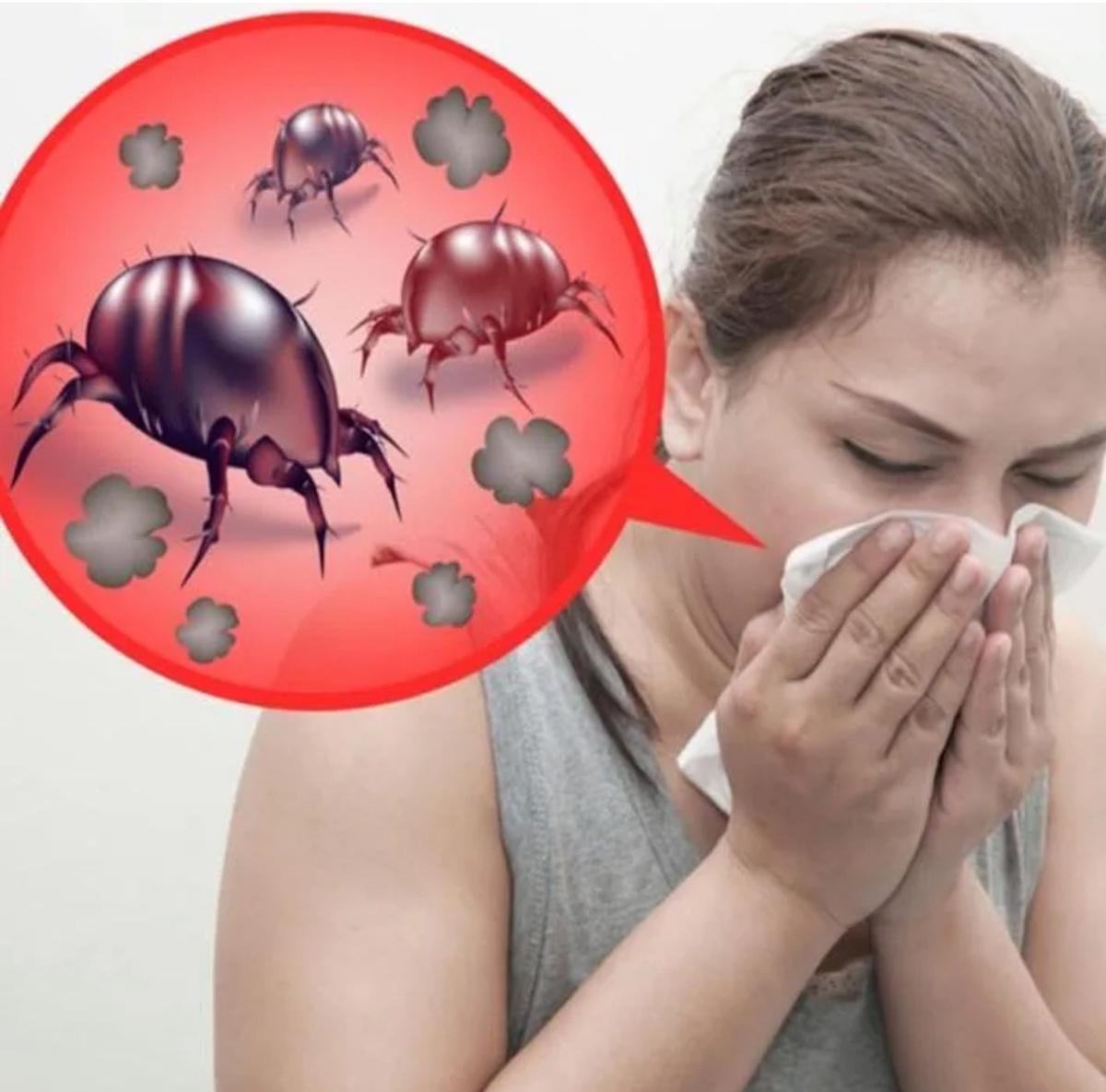 Пылевые клещи могут вызвать аллергию и другие заболевания 