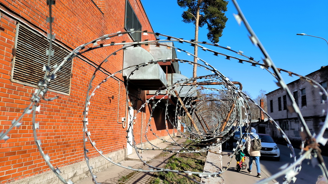    © Maksim Konstantinov/Globallookpress