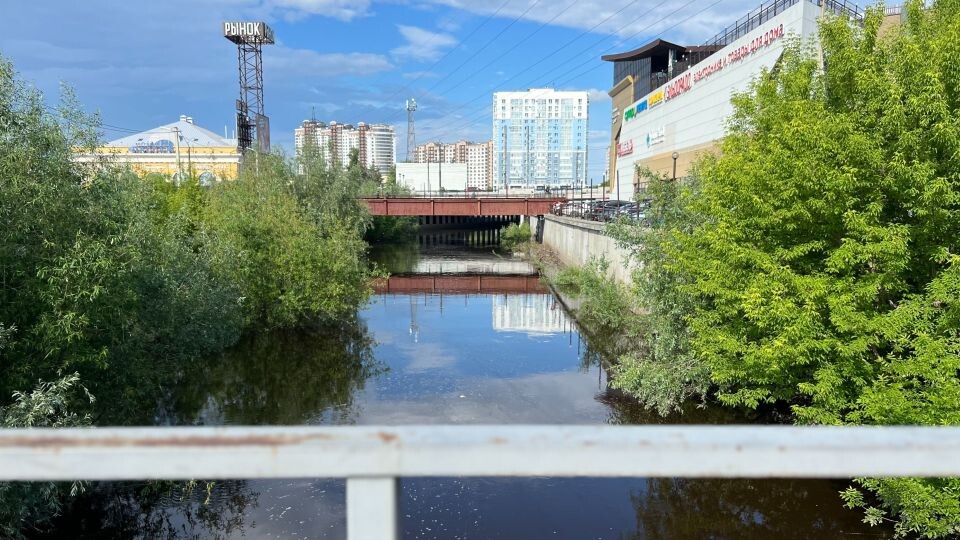    Река Барнаулка . Источник: Валерия Ванюшкина