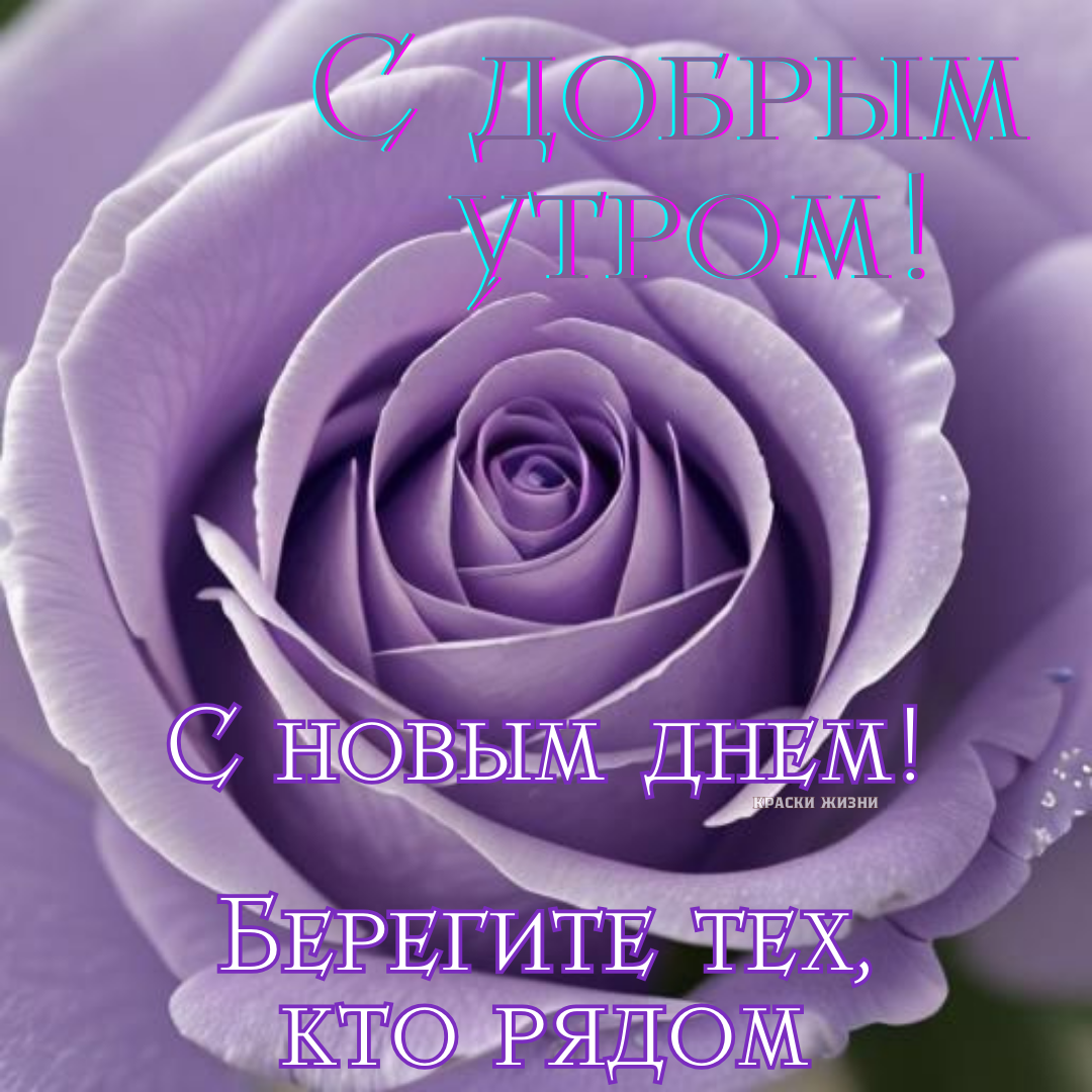 Картинки с добрым утром краски жизни