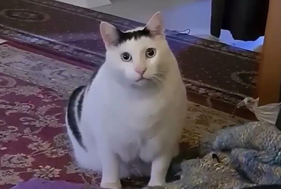 И че? Фото из сети Интернет.