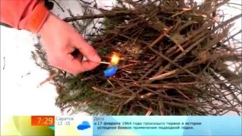 Фото из интернета.