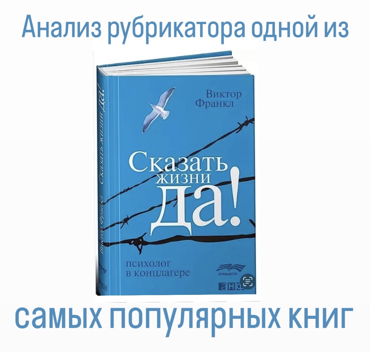 Анализ рубрикатора одной из самых популярных книг: Автор раскрыл глаза миллионам людей на возможности открыть смысл в собственной жизни.