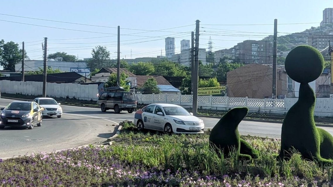     Источник: vdk_tiger_vladivostok