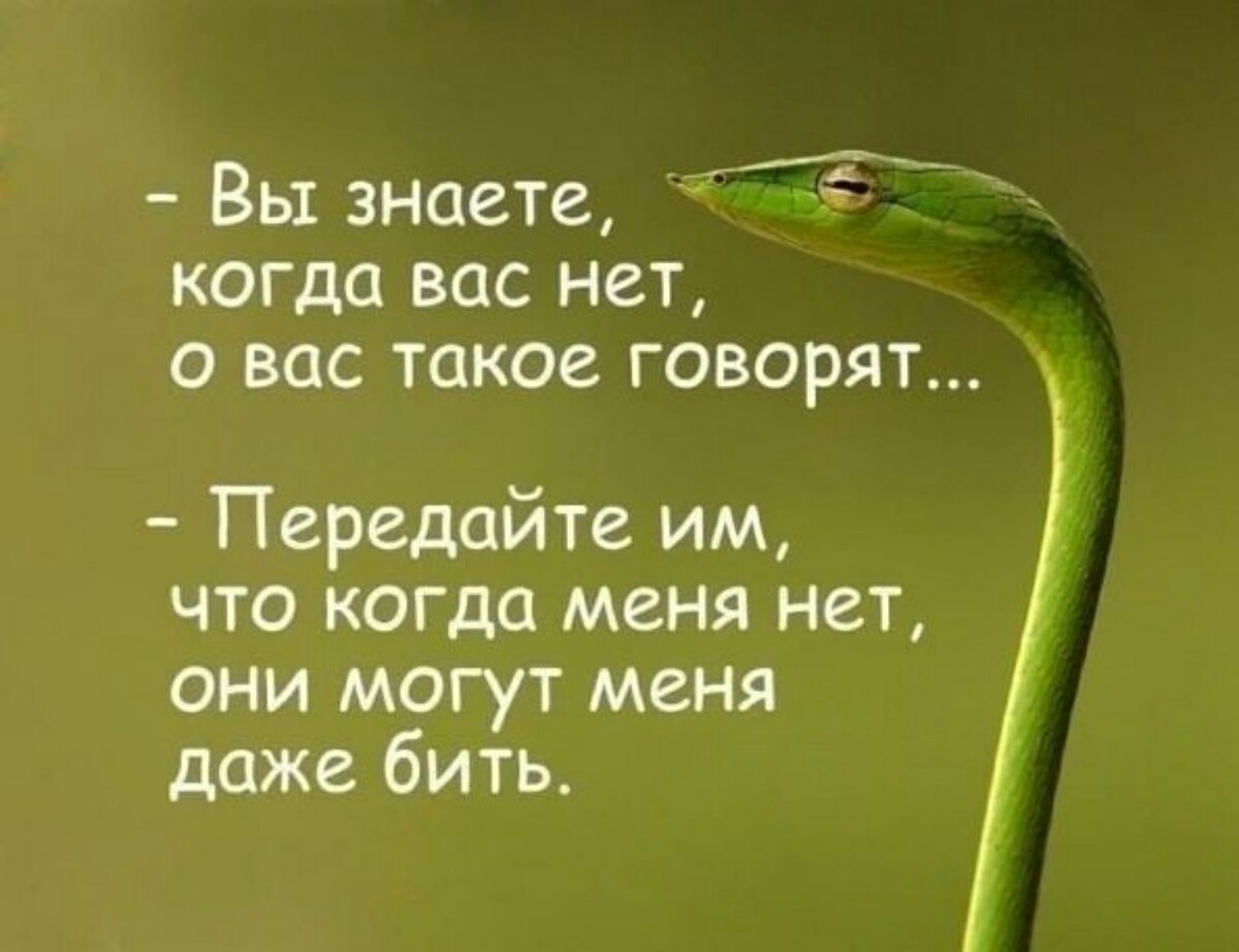 целиком и полностью согласна :)