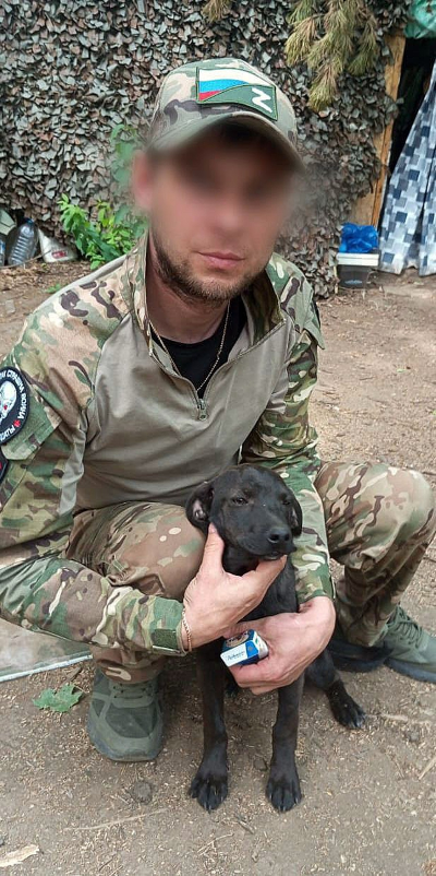 Тяжелые фронтовые будни помогает легче перенести дружба с четвероногими «бойцами».Фото:из архива Евгения Андриянова
