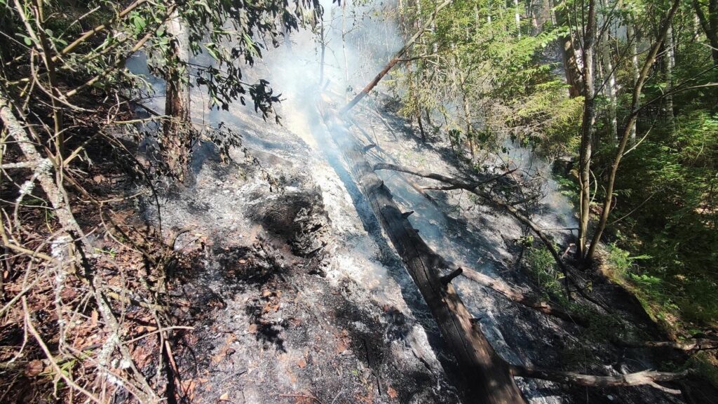    Фото: Поисково-спасательная служба КМО Алена Калашникова