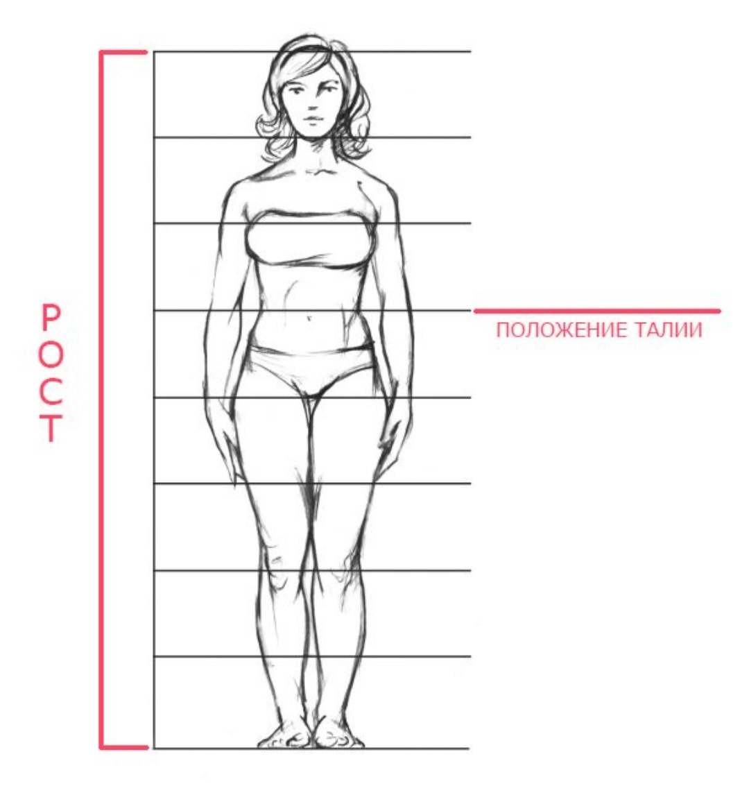 Рисунок из интернета