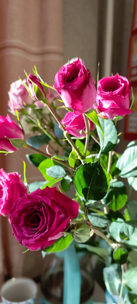 Жизнь должна быть счастливой. Фото автора.