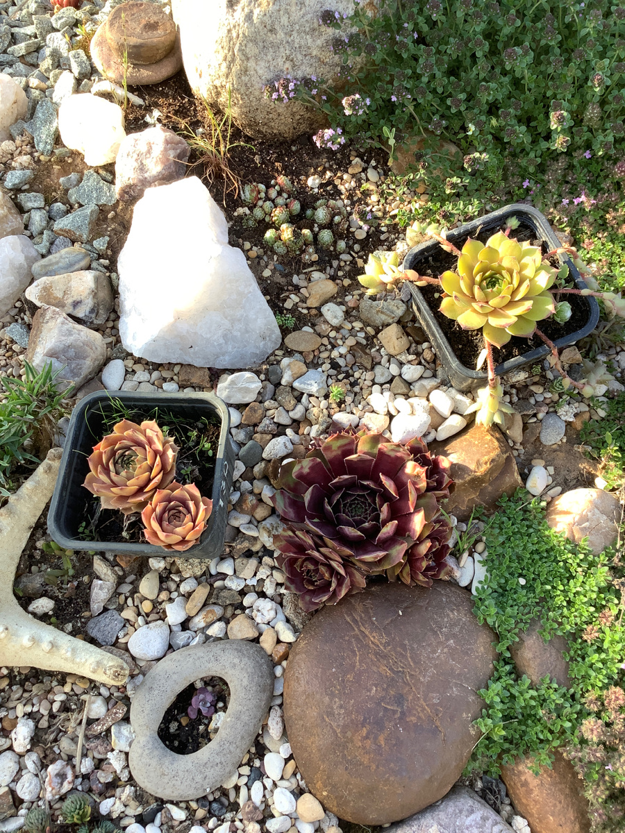 Примеряю горшочки на новом месте