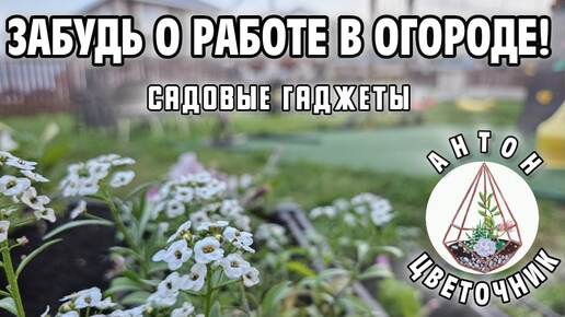 下载视频: Купили это в сад - и не нарадуемся! Как облегчить рутинную работу на участке?