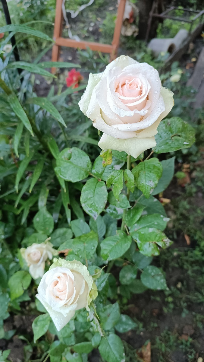 фото Валентины