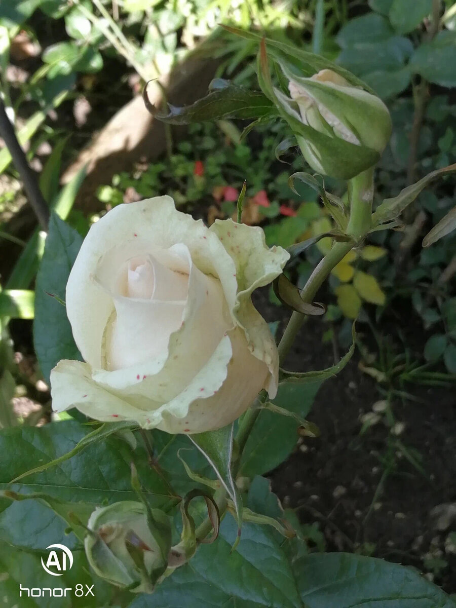 фото Валентины