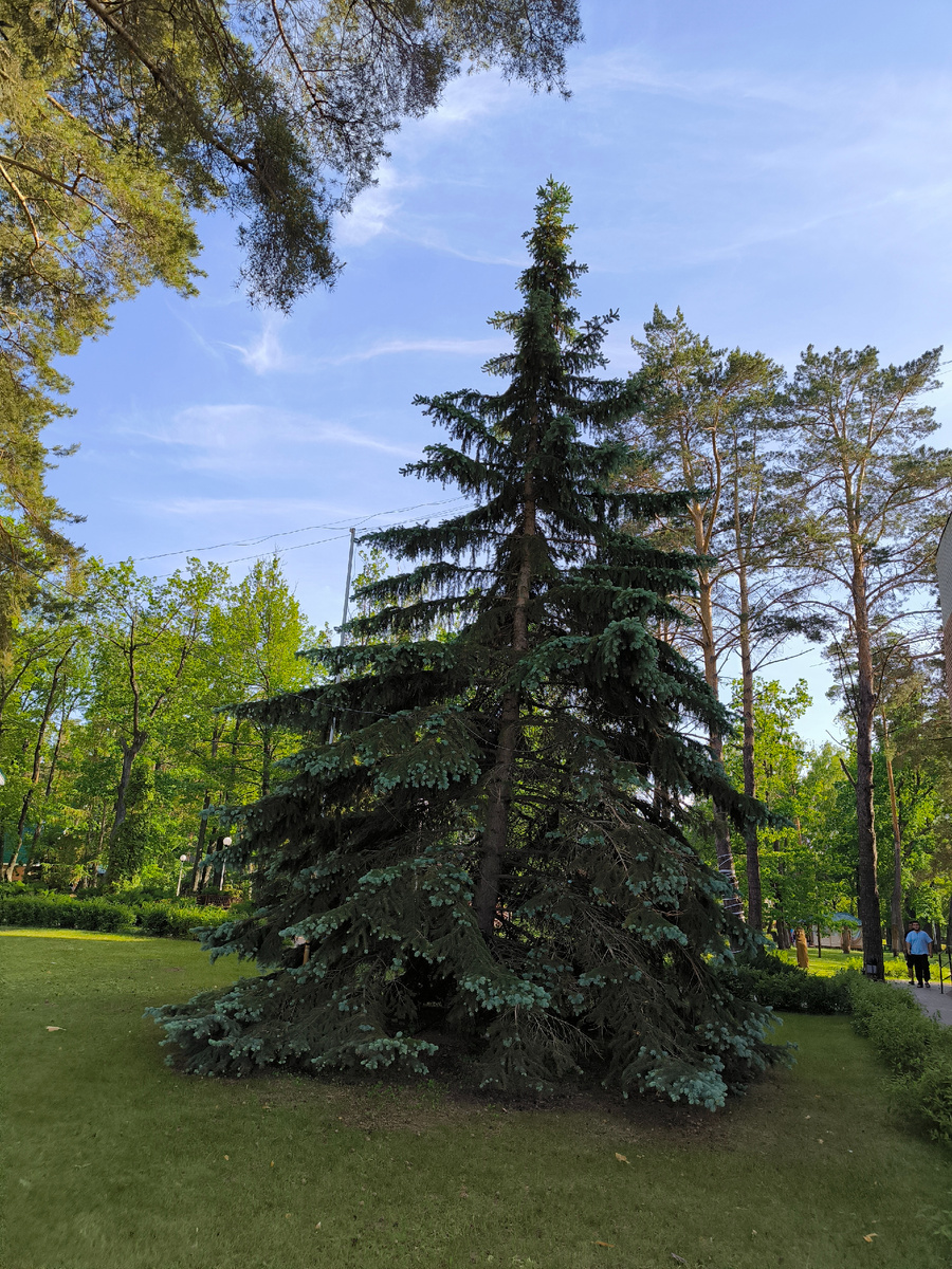 Всё фотографии в статье авторские. 