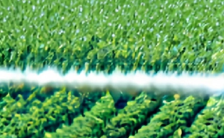    Агрохимическая отрасль ЕС теряет конкурентные преимущества в пользу Индии