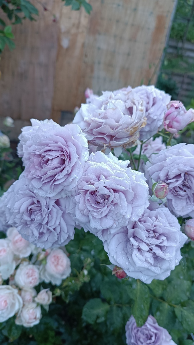 фото Валентины