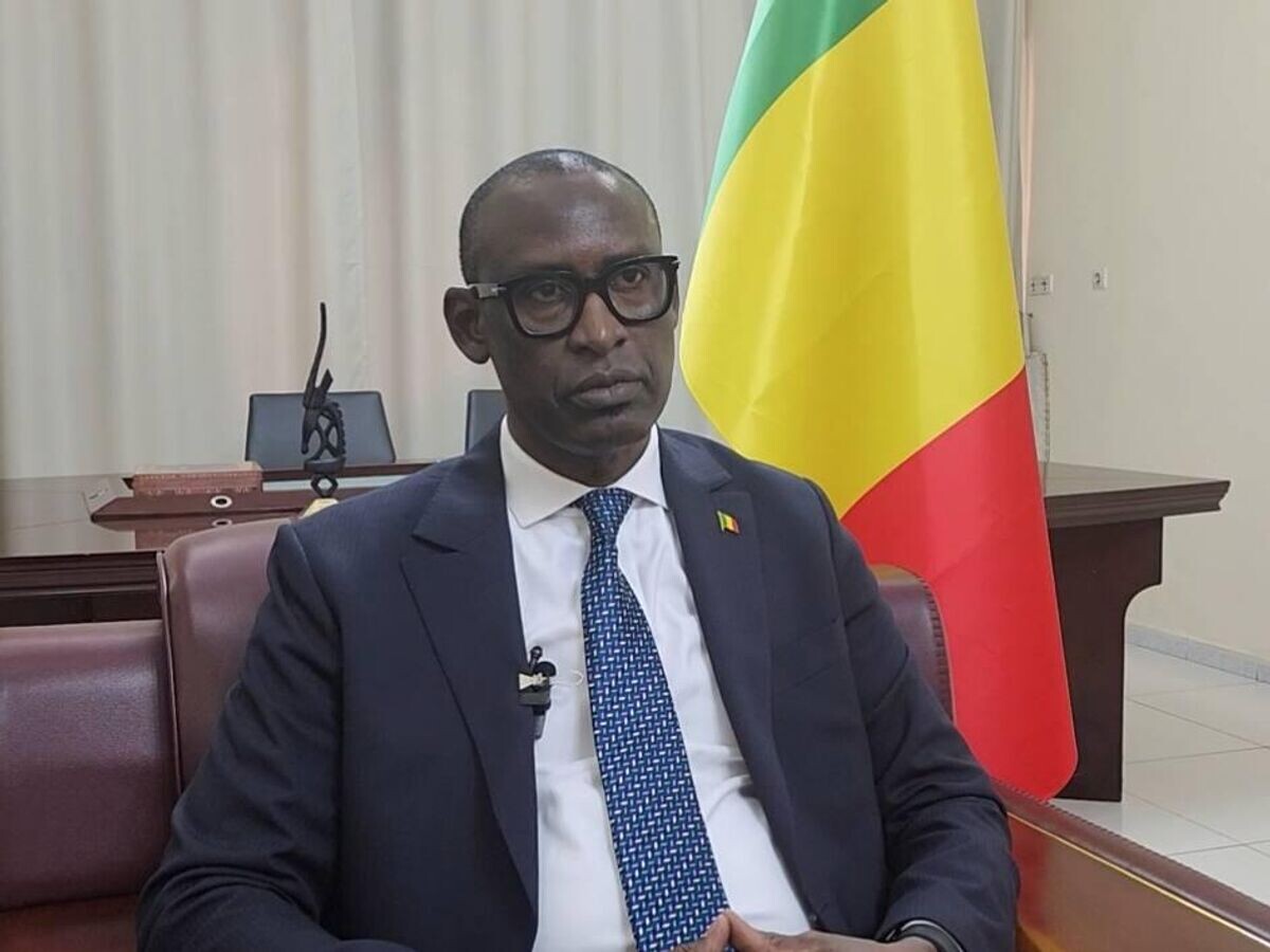    Министр иностранных дел Мали Абдулай Диоп© РИА Новости