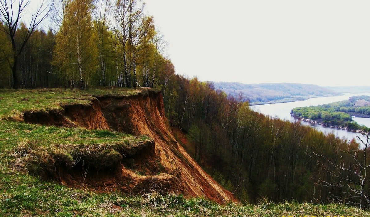 Из открытого доступа  