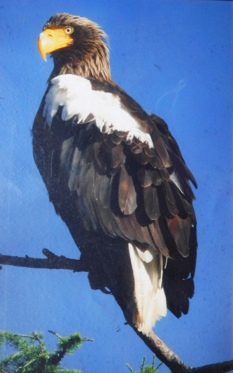 Фото В.Б. Мастерова