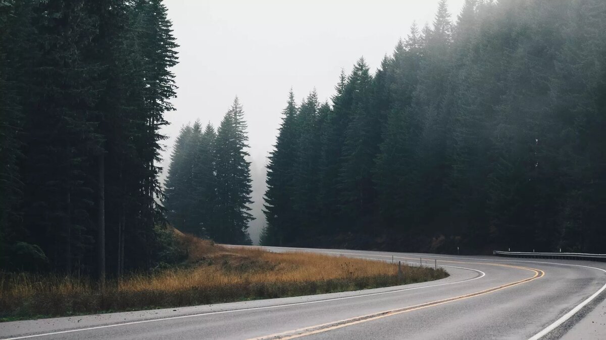     Источник: Photo by form PxHere