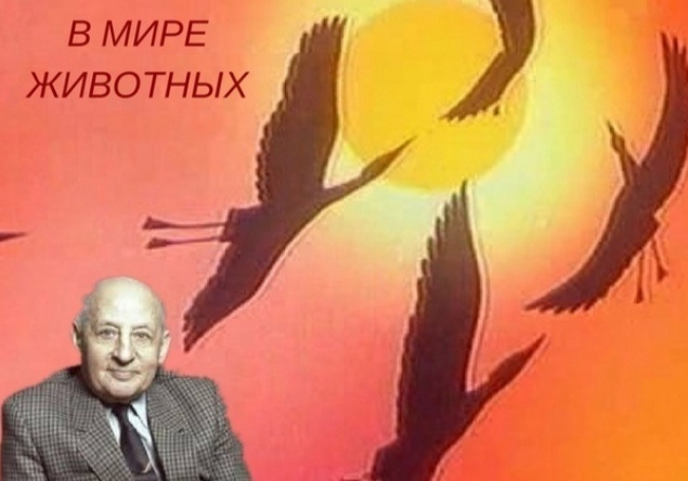 Александр Згуриди на фоне заставки передачи. Заставку, кстати, тоже снял сам.