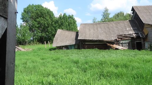 Дома шедевры в покинутой деревне. Ярославская область