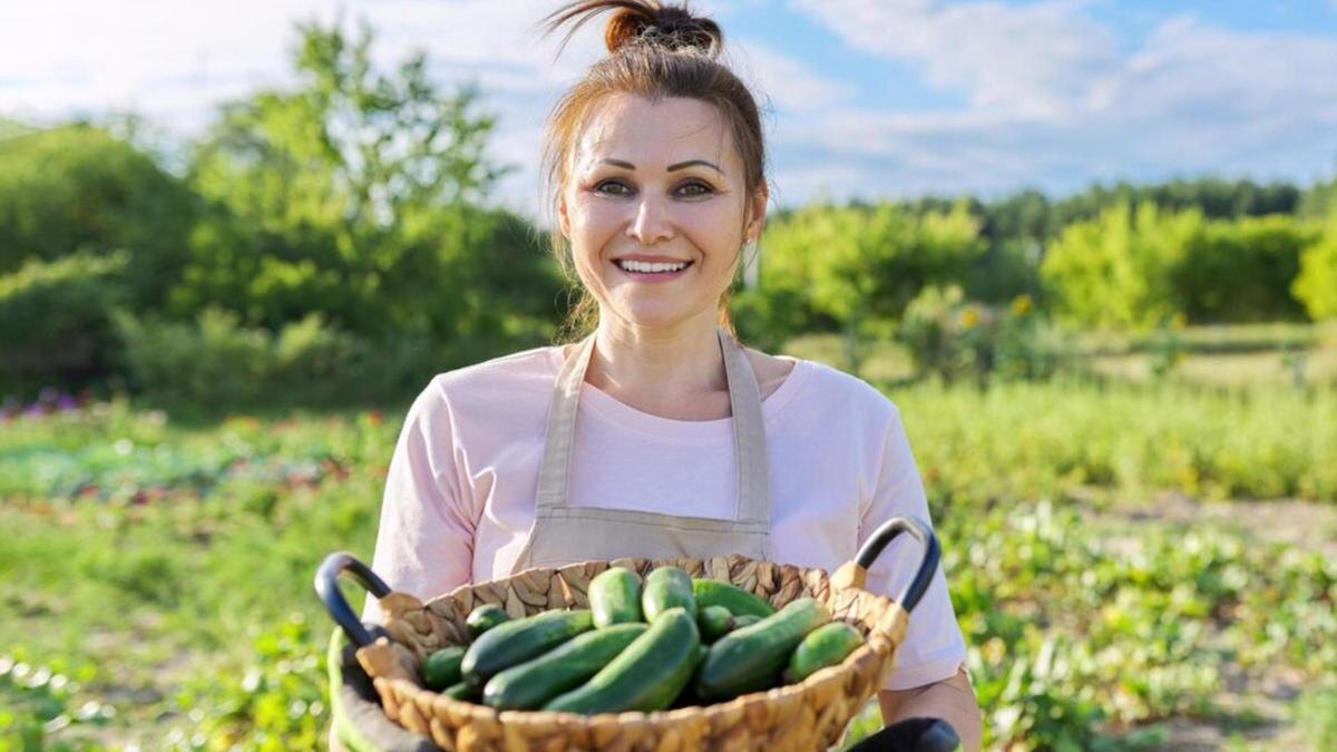    Девушка держит в руках корзину со свежими огурцами:Freepik