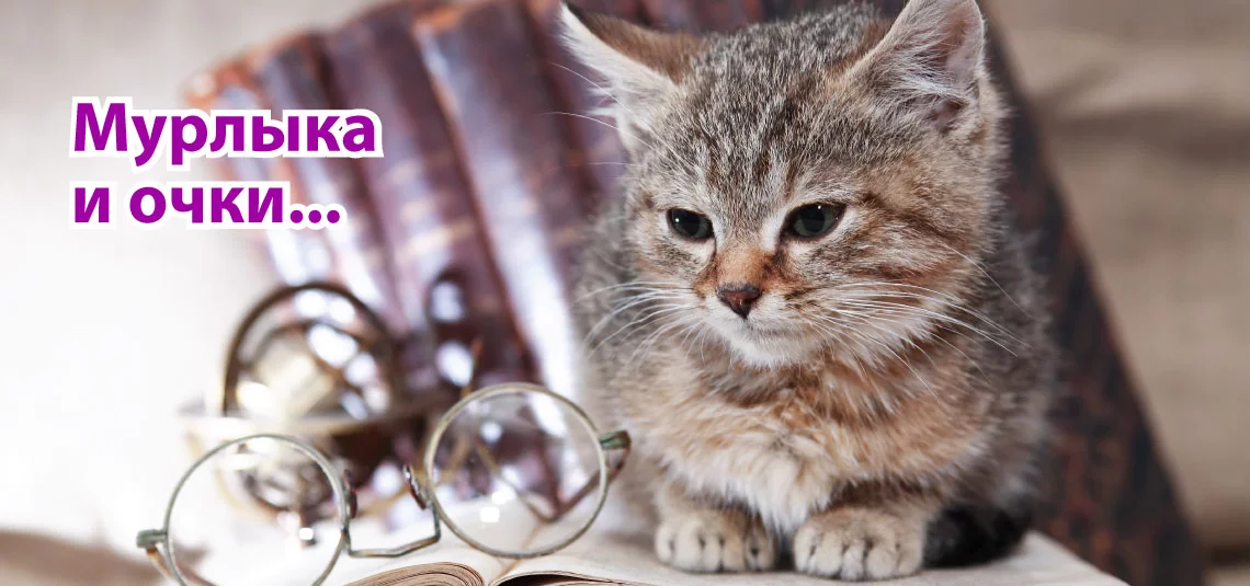 Картинка из поиска