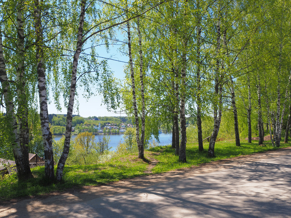 Улица Центральная.