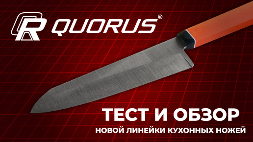 Обзор силовых моделей QUORUS.