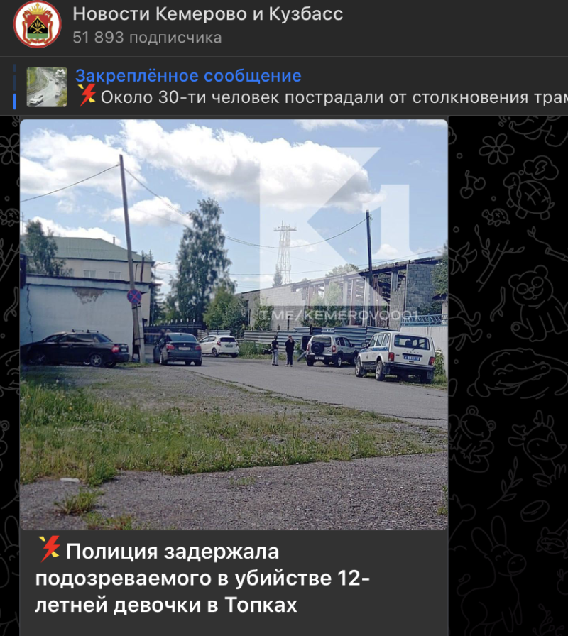    Место, где нашли тело школьницы. Скриншот: Телеграм-канал