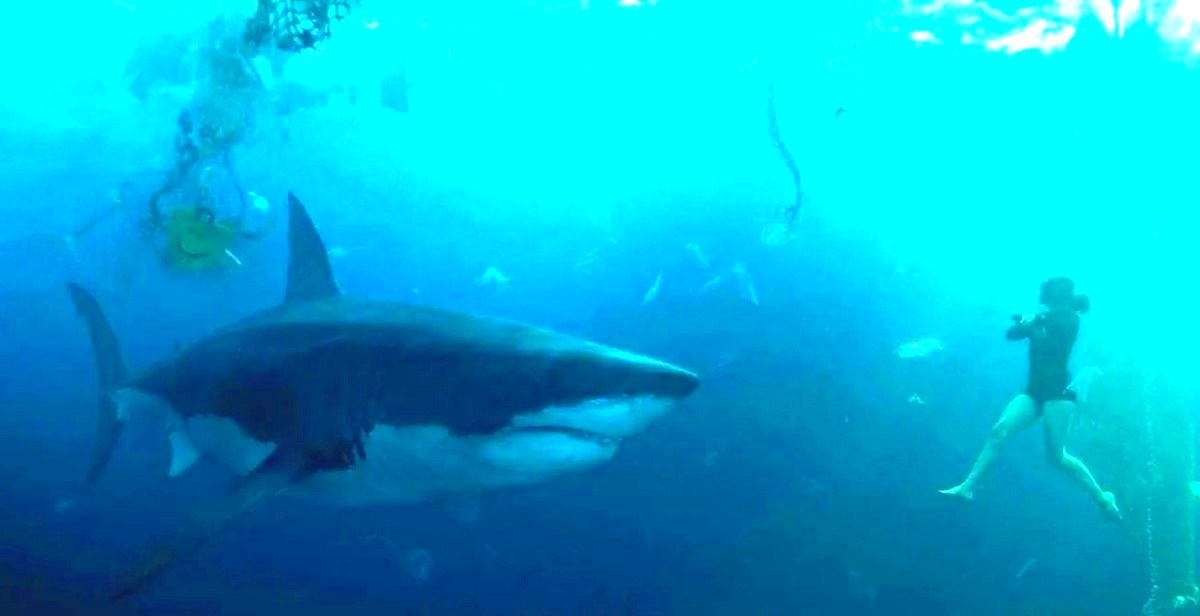 - Эй! Даже не думай, а не то я Джейсона Стэйтема позову! - А, ну так бы сразу и сказала. Понял, отстал.