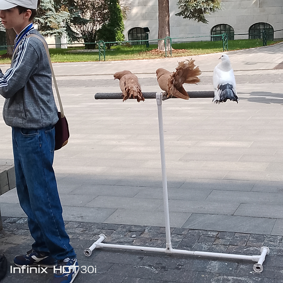 Вот и ещё артисты уличные! 🥳