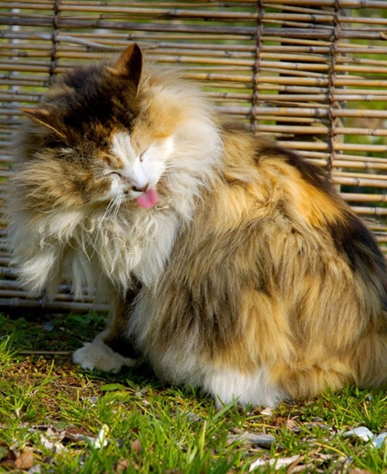 Источник: Яндекс картинки