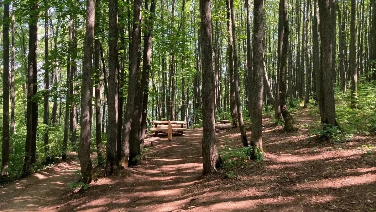     Источник: inkazan.ru