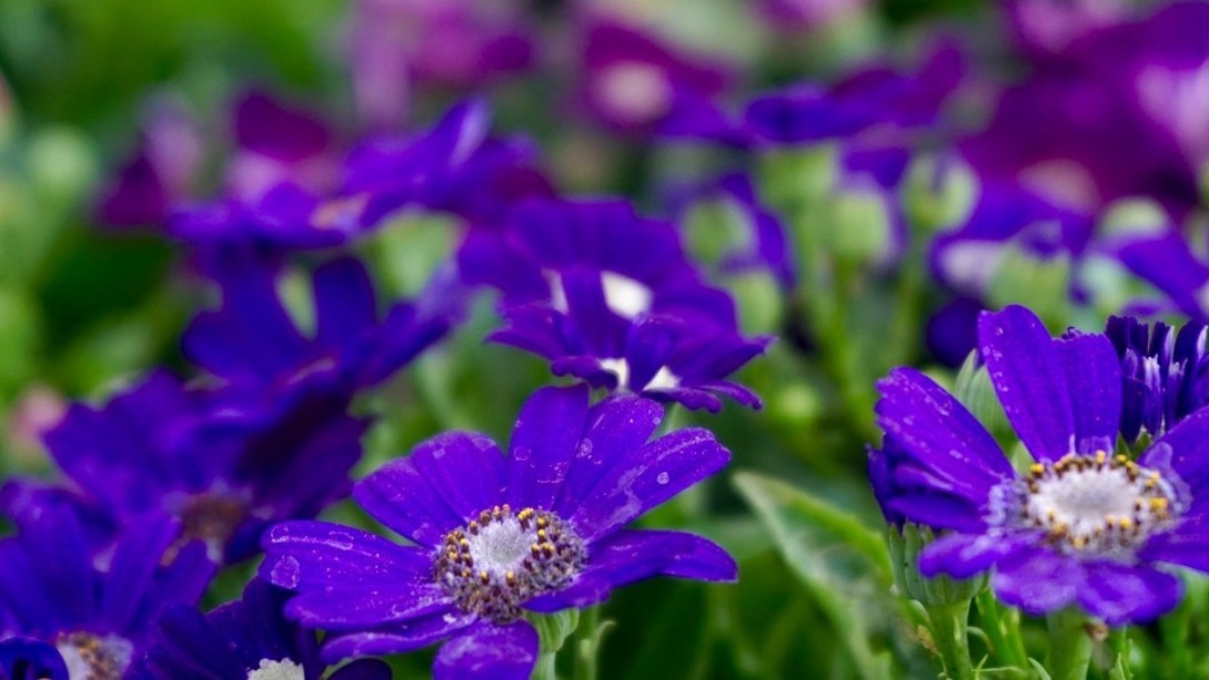     Источник: pxhere.com