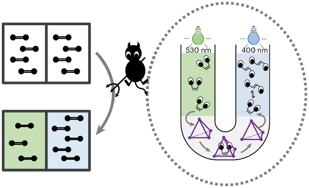    Во время эксперимента ученые облучали светом два изгиба U-образной трубки с длиной волны 530 нанометров и 400 нанометров / © J. Pruchyathamkorn et al., Nature Chemistry, 2024