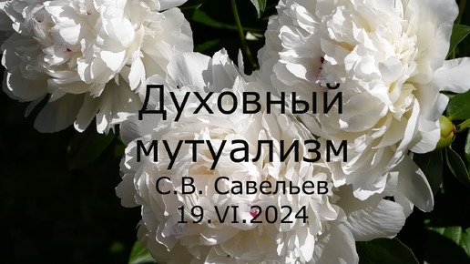 С.В. Савельев. Духовный мутуализм - [20240619]