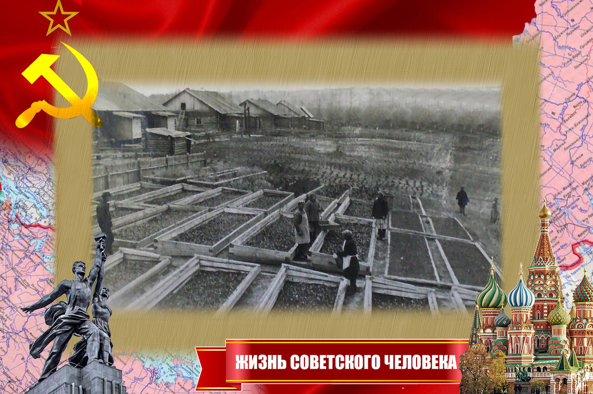 Спецпоселение в Красавино. Одна из рабочих задач - выращивание рассады
