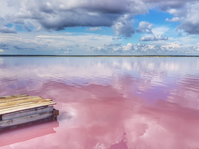 altairegion22.ru