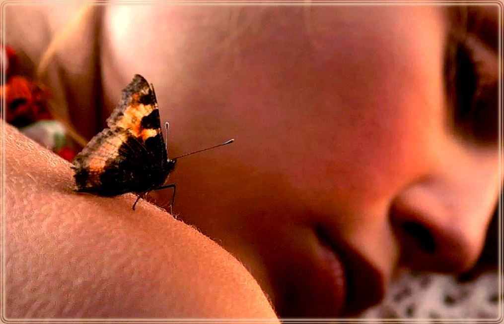 Мурашки. Память о будущем, признак истины