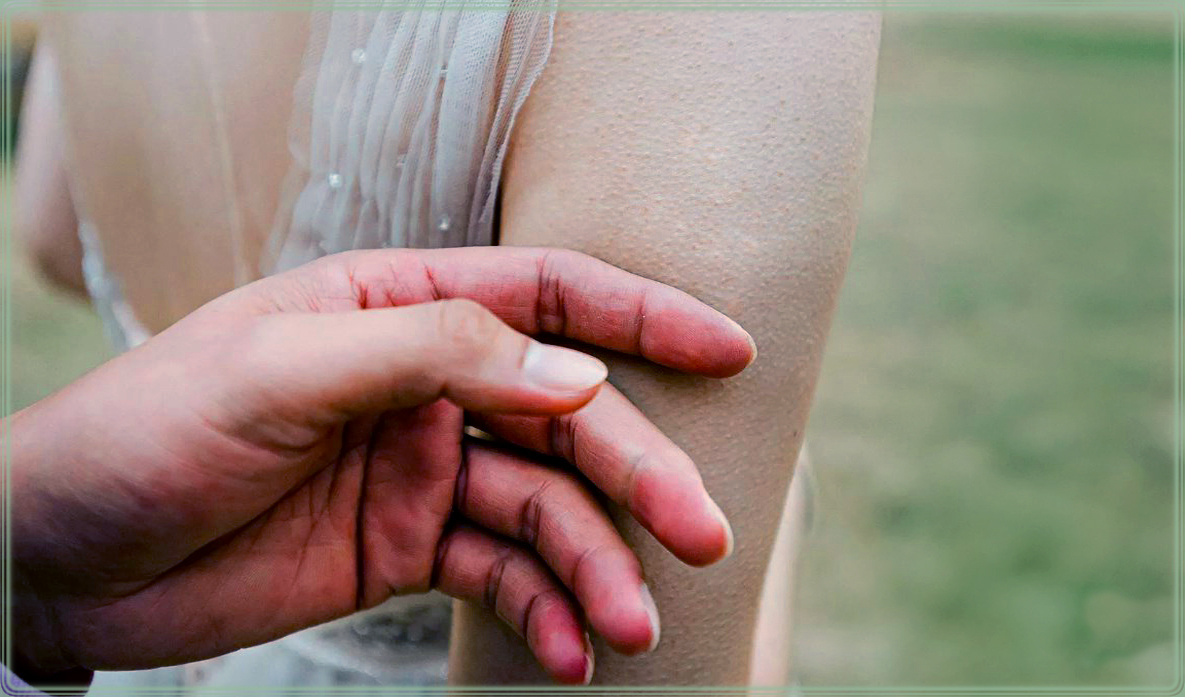 Мурашки. Память о будущем, признак истины