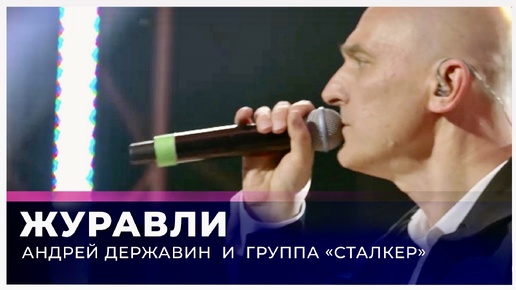 Скачать видео: Андрей Державин - Журавли (live)