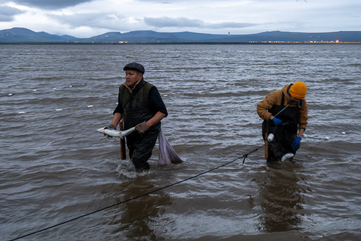 Фото: Komsomolskaya Pravda/Globallookpress 