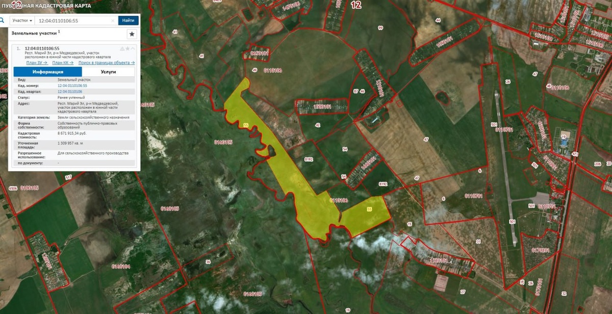 Пример ЗУ для сельхозпроизводства. Публичная кадастровая карта