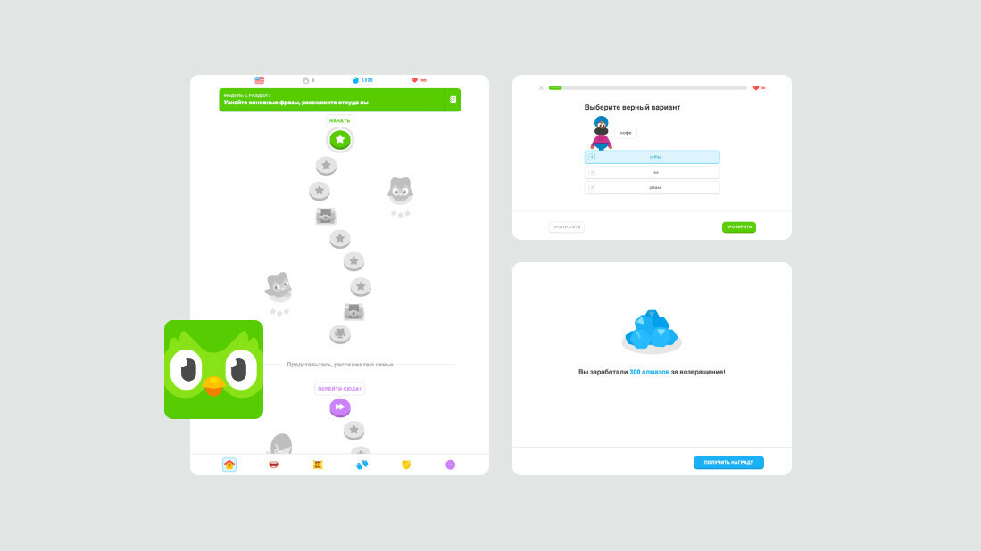 Duolingo – платформа для изучения языка
