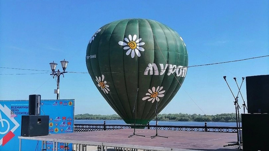 Воздушный шар в ромашках (фото из интернета)