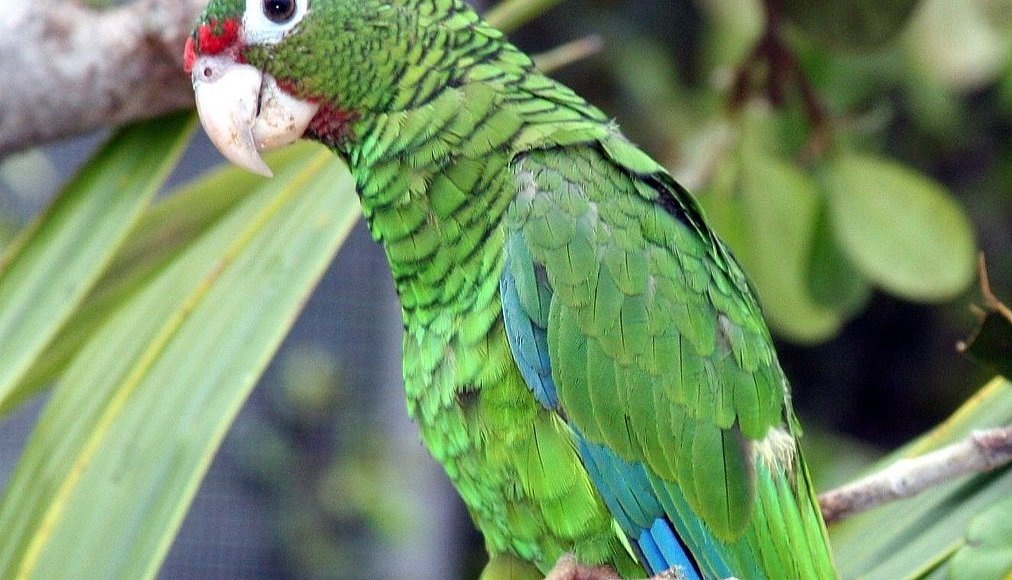    Фото: из открытых источников