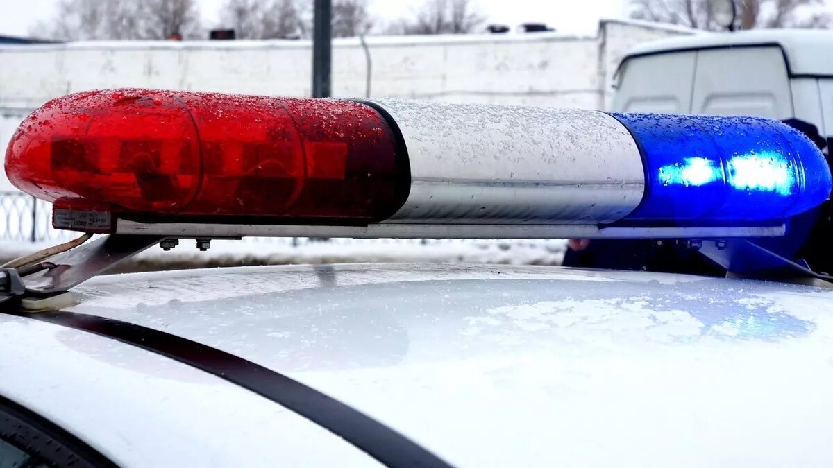     Источник: 1MI